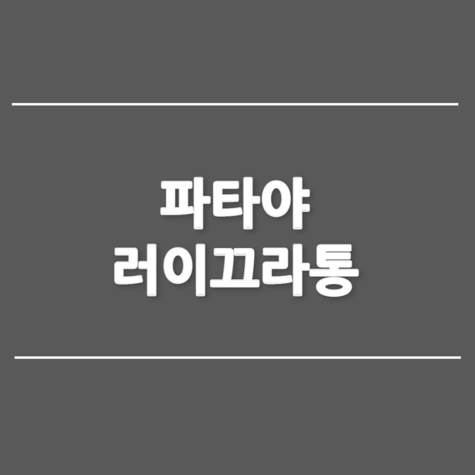 티앤 이미지