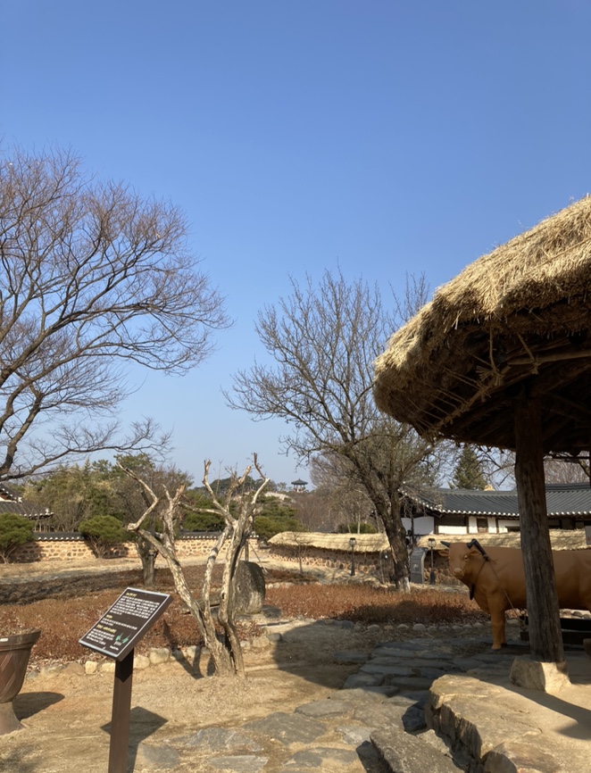 단지커피 이미지