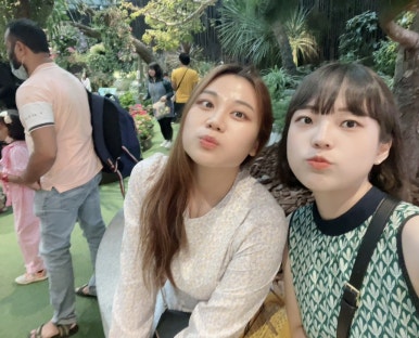 싱삼 이미지