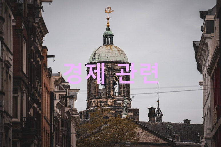 콘텐츠프로 이미지