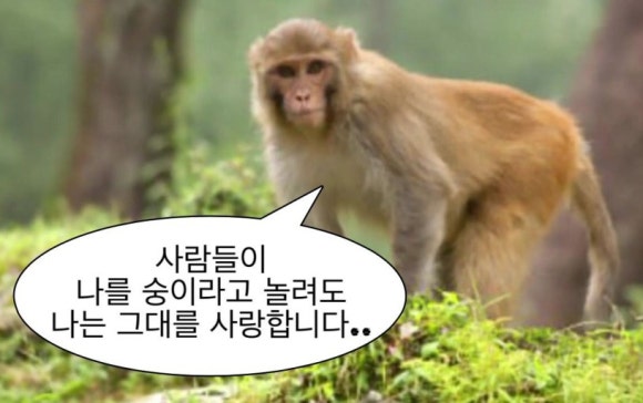 마니또피자 이미지