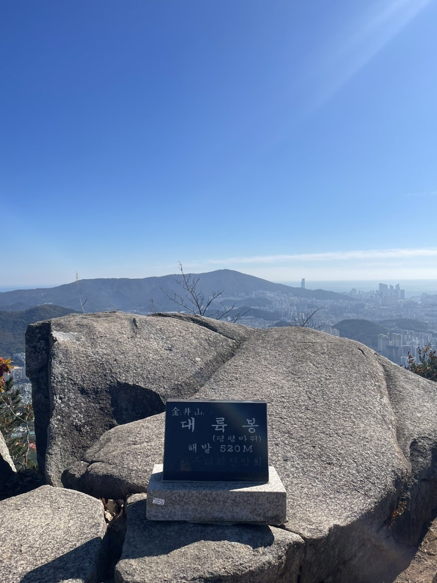 금정카 이미지