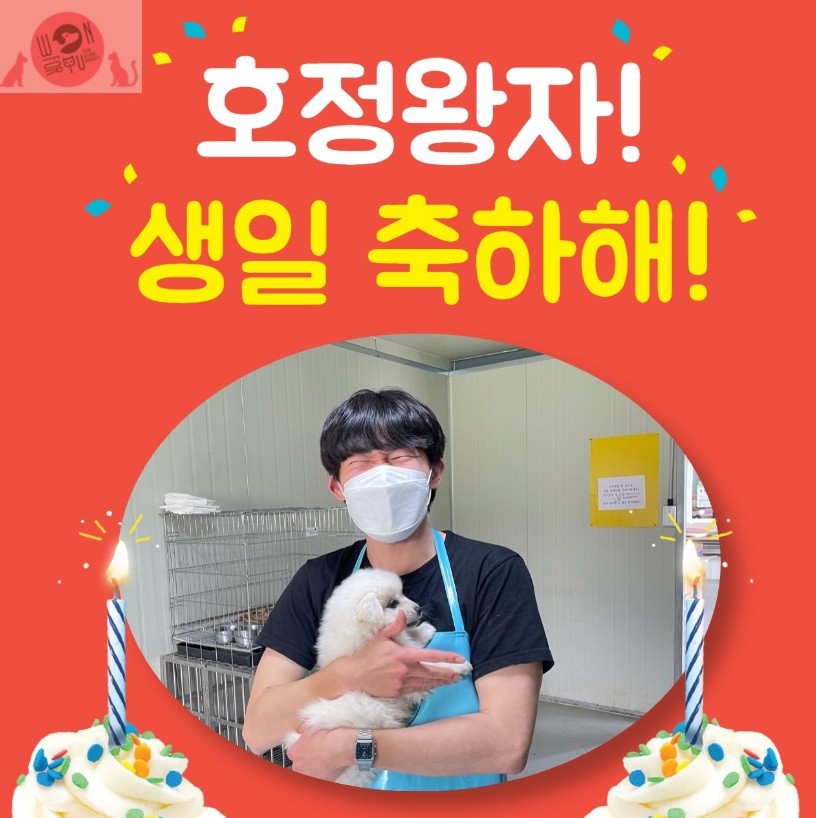 호정석유 이미지