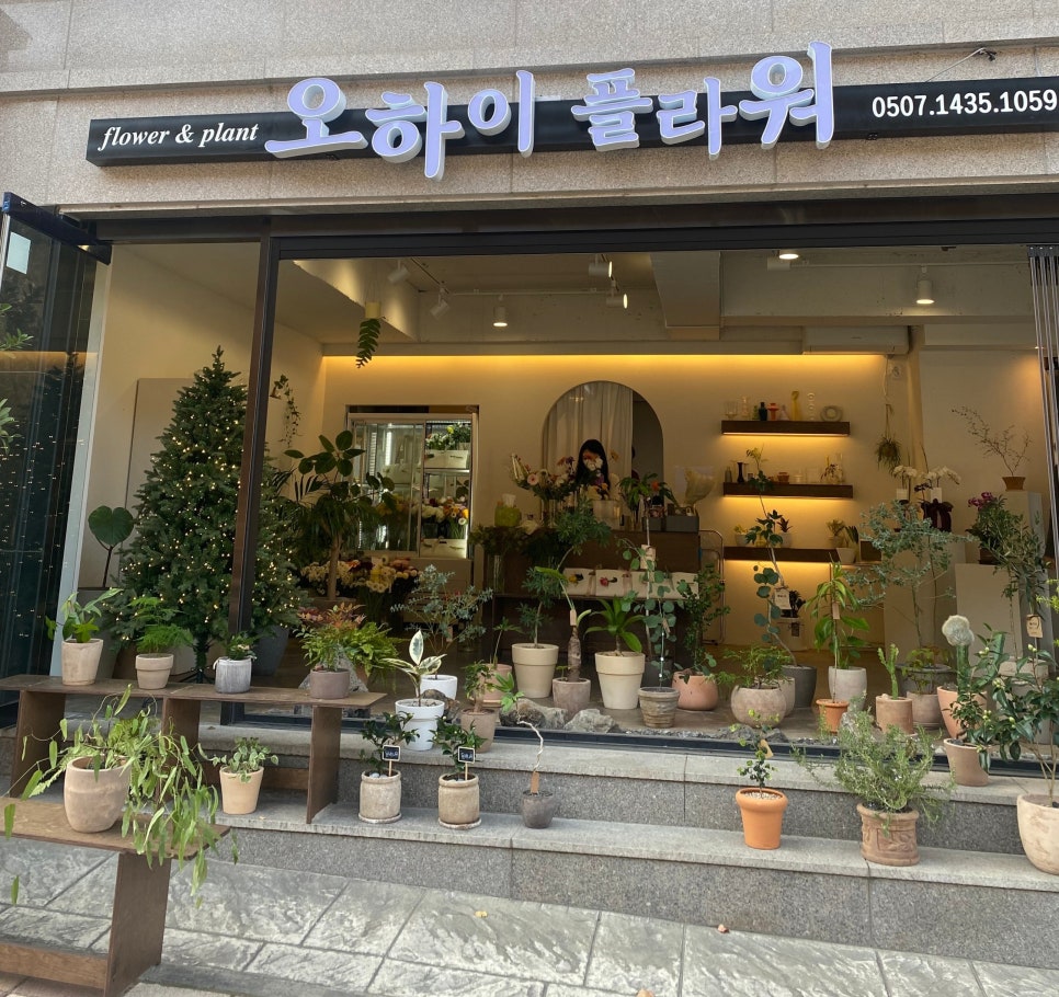 오하이플라워 이미지