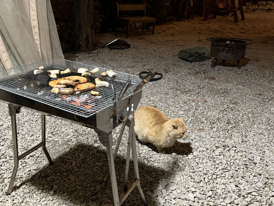 여울카라반 이미지