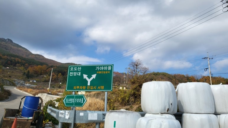 오도산식당 이미지