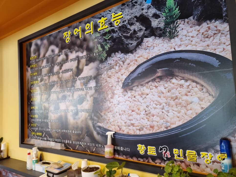 황토민물장어 이미지