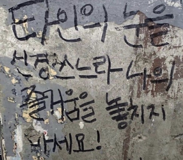 노리밋 이미지