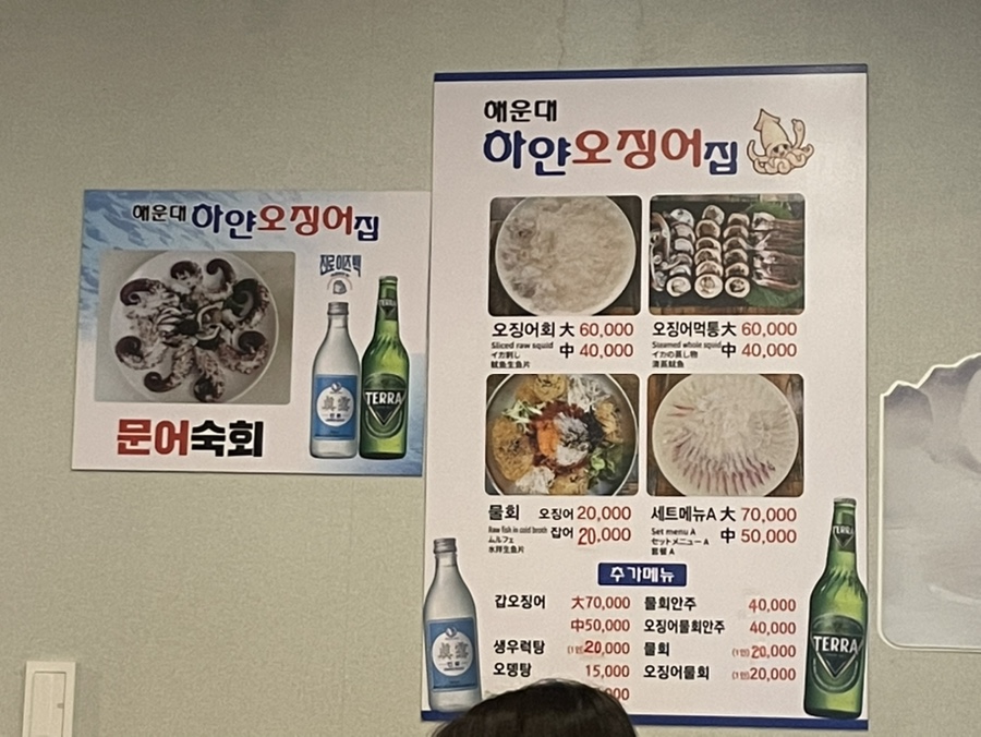 하얀오징어 이미지