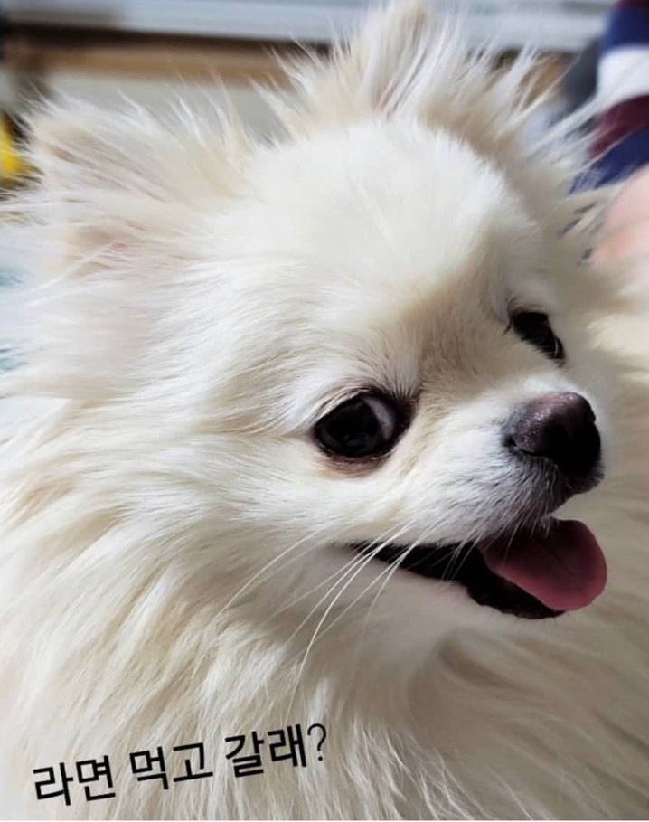 소소양품점 이미지