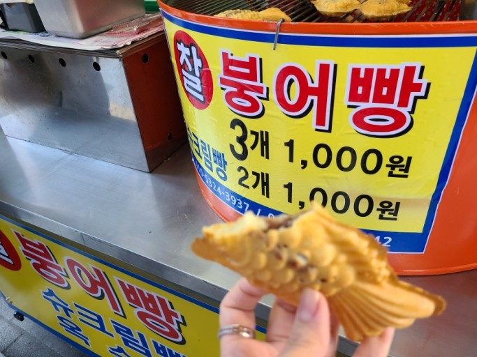 메가투어 이미지