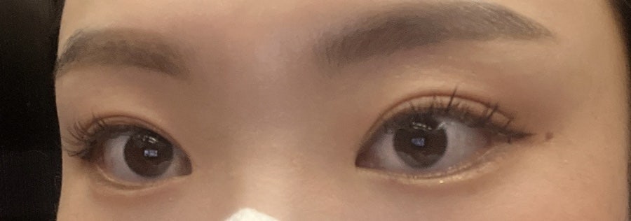 눈에온봄 이미지