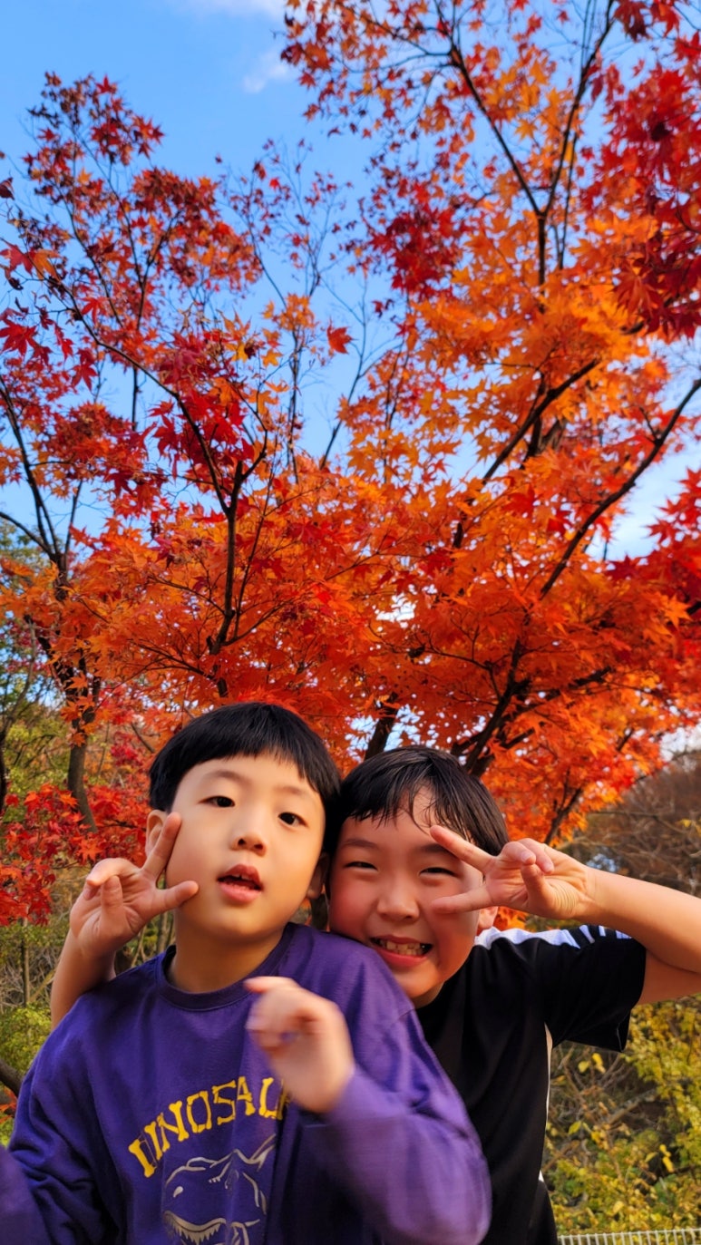 가평랜드오토캠핑장 이미지