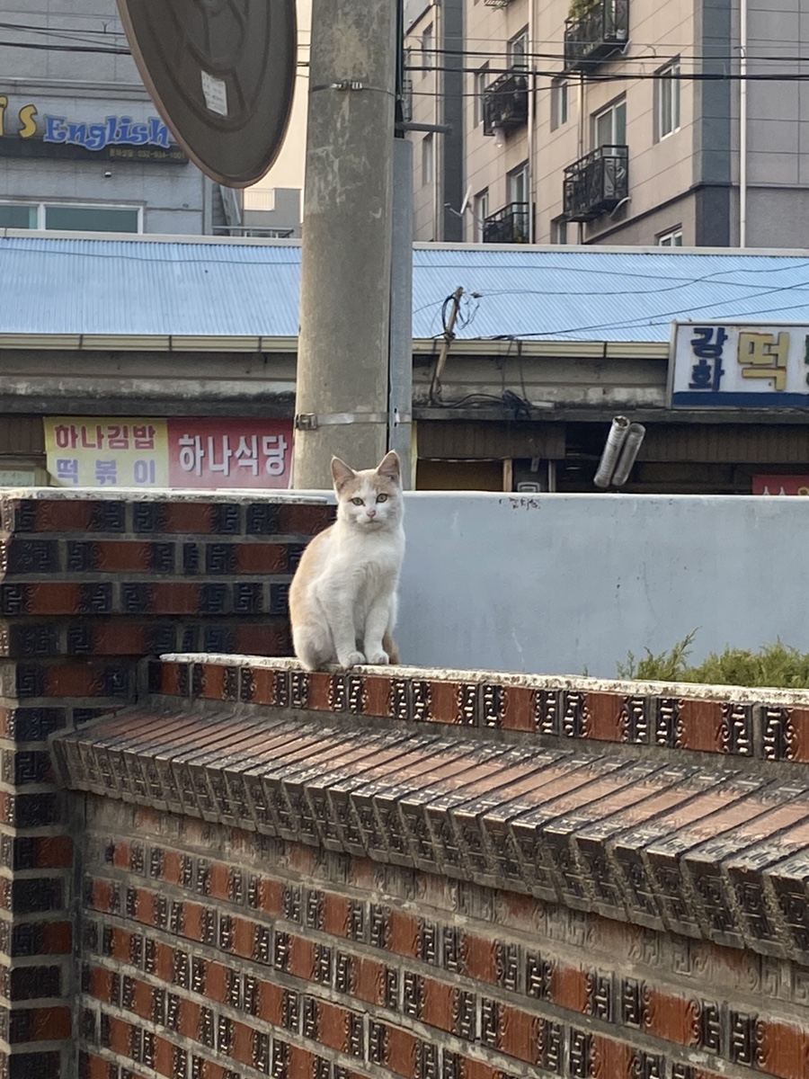 청년다방인천강화점 이미지