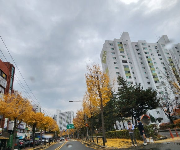 뚜리바 이미지