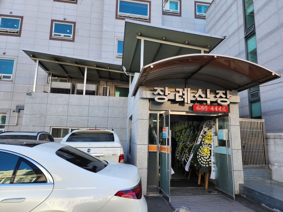 본향상조 이미지