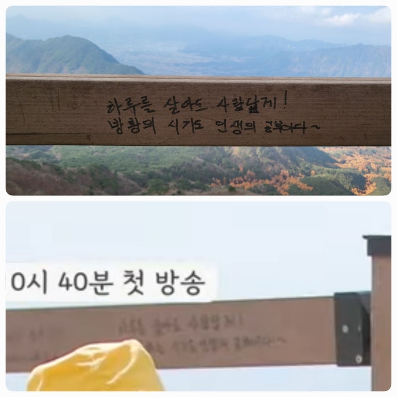 오도산식당 이미지