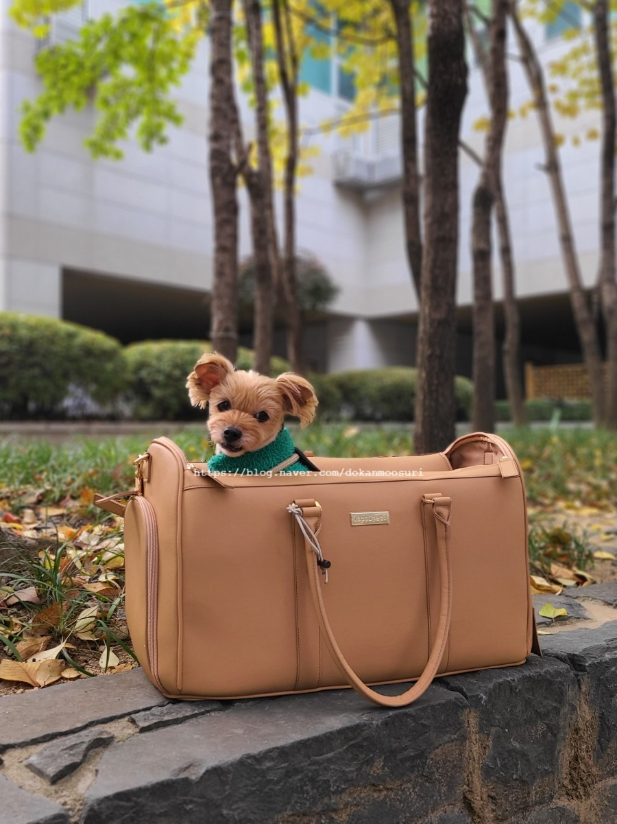 디자인페토 이미지