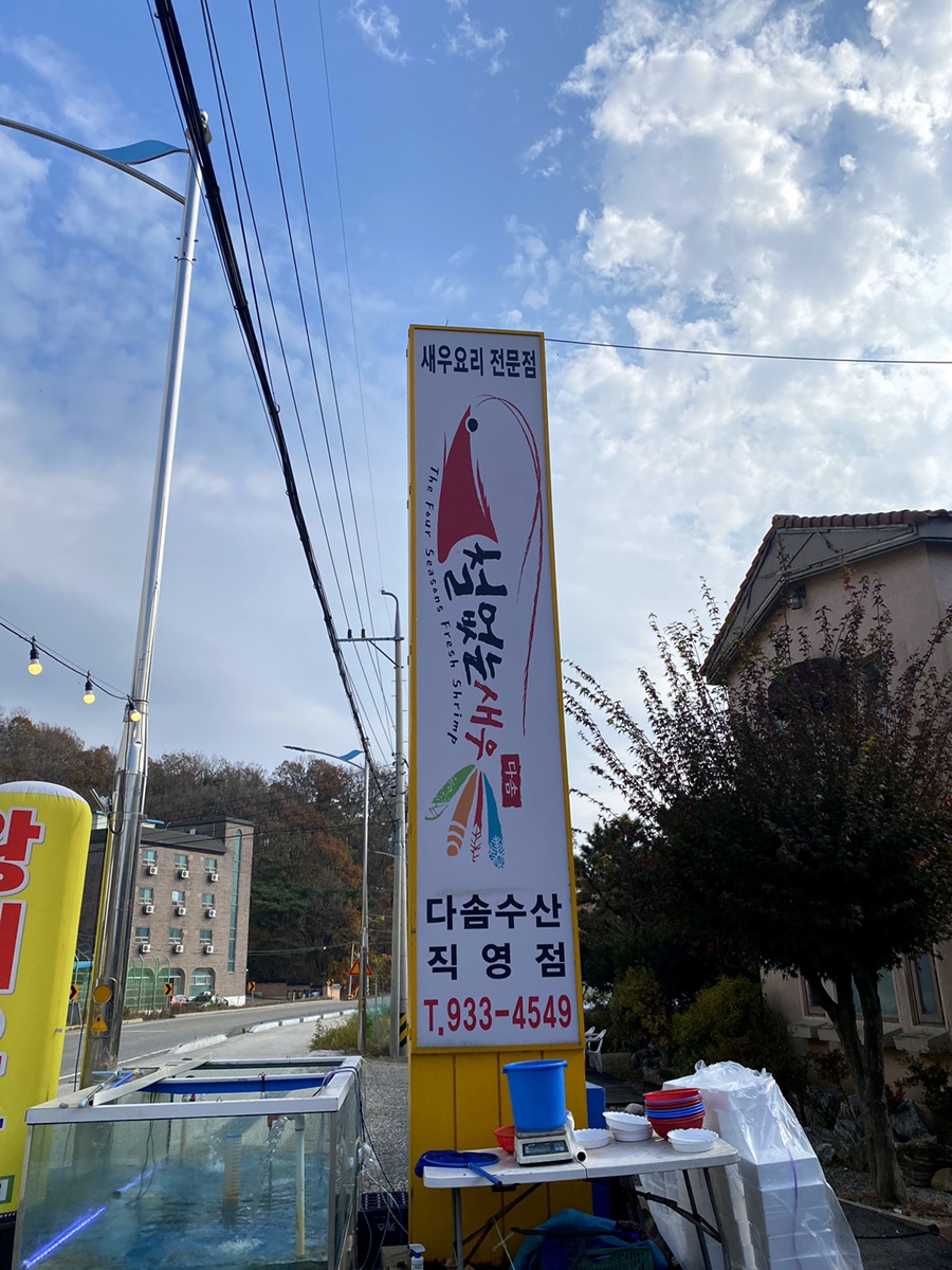 철없는 새우 이미지