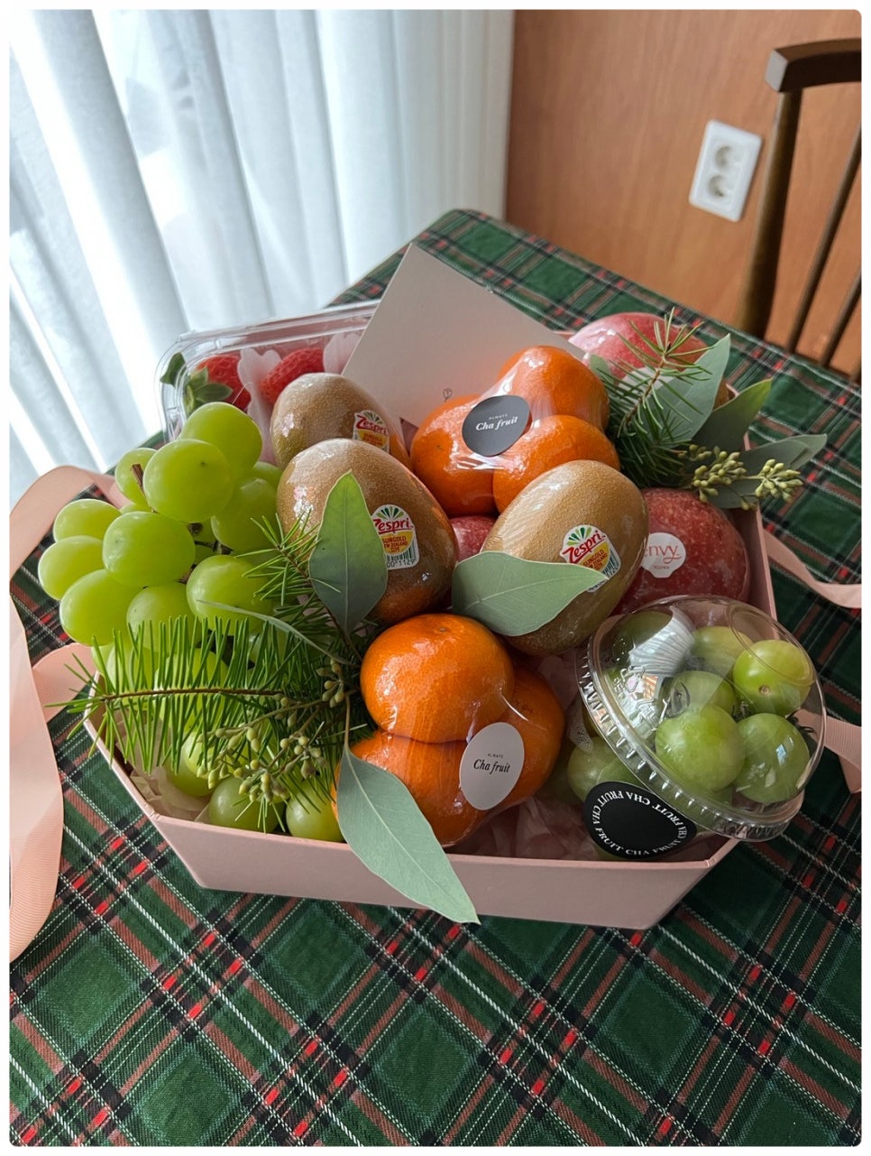 차푸릇 이미지