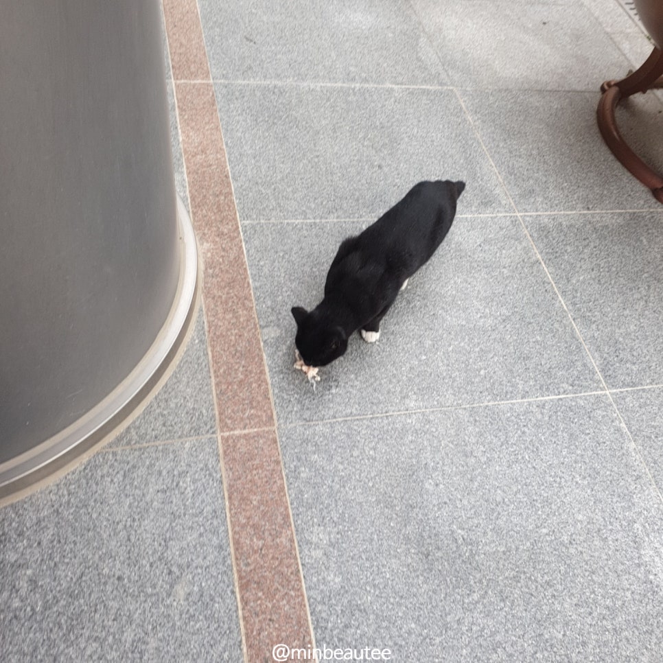 네일츄르 이미지