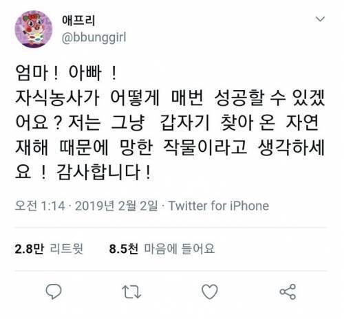 치향온 이미지