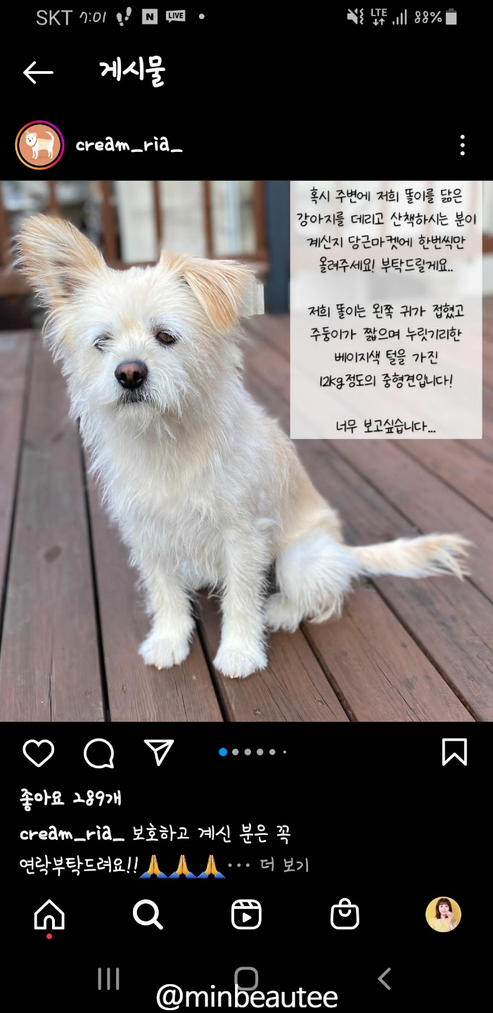 네일츄르 이미지