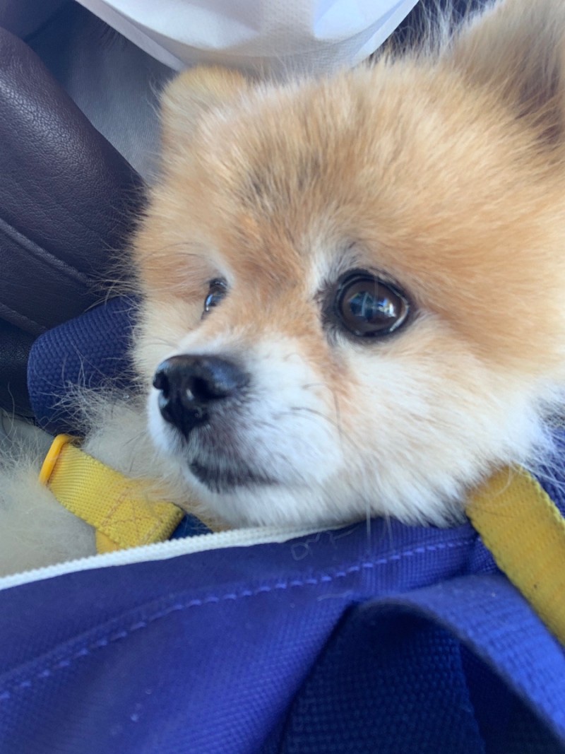 (주)서로 이미지