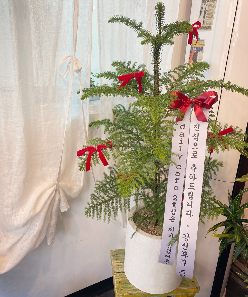 꼿밧 이미지