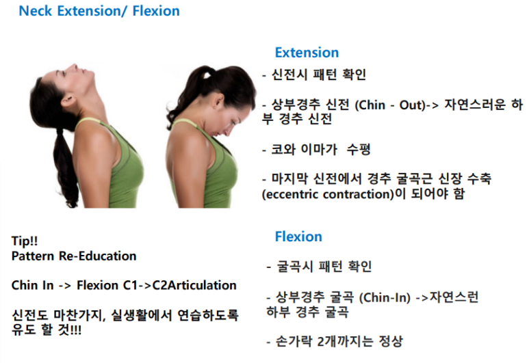 바디핏퍼스널 이미지