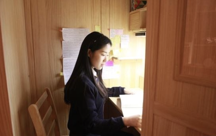 캐슬빈 이미지