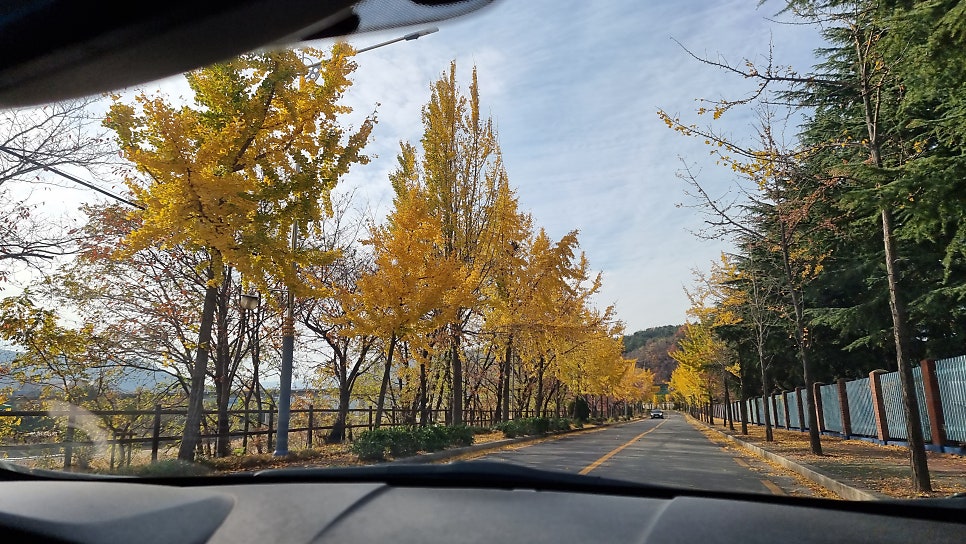 하늘청과 이미지