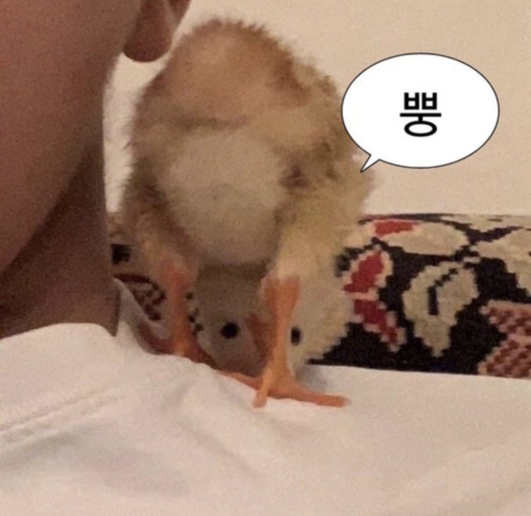 전주한옥김치 이미지