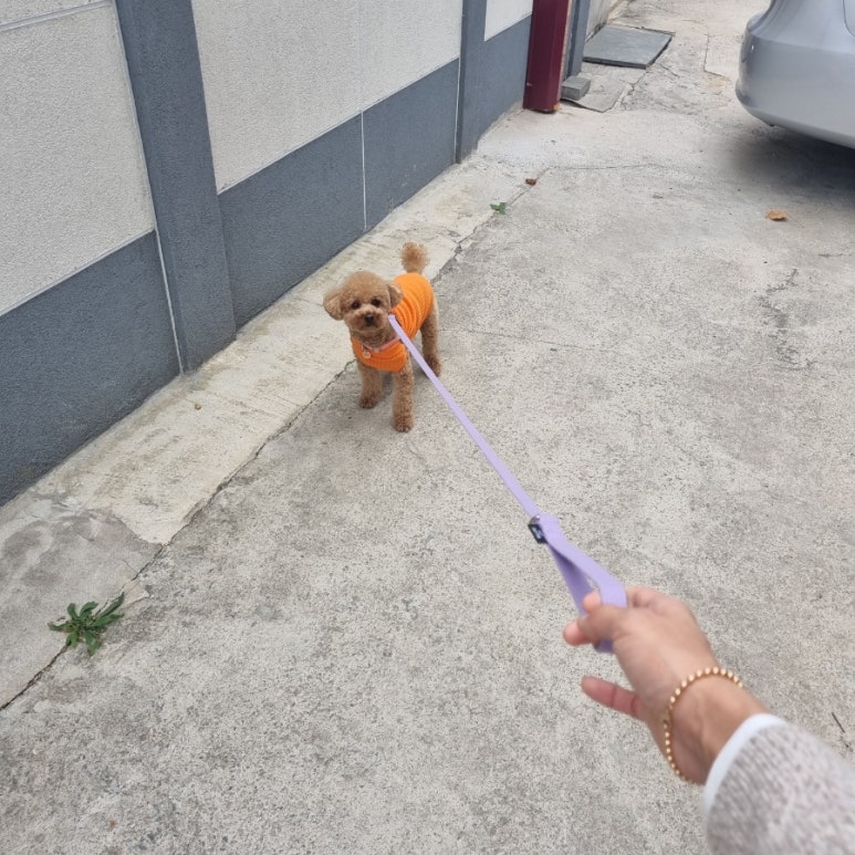 카페누베 이미지