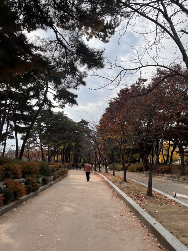 시나본여의도 이미지