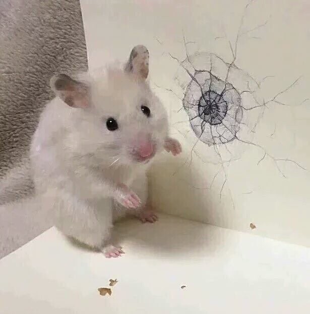 으네식당 이미지