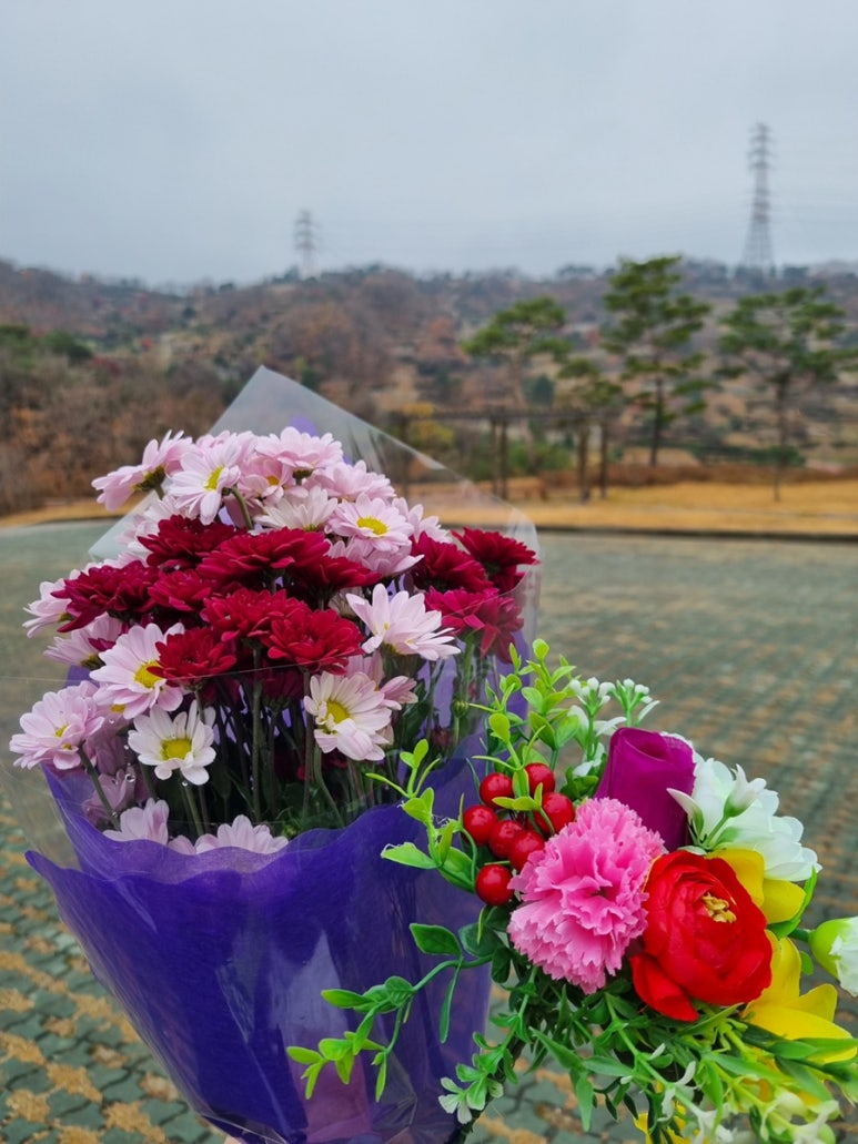 임마누엘화원 이미지