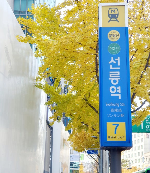 엘도라헤어 이미지