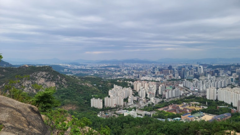 형동생 이미지