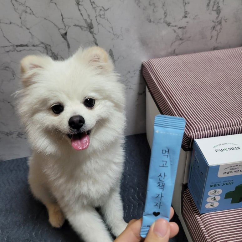 소중파파 이미지