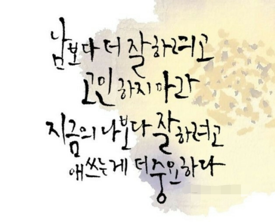라이트핏 이미지
