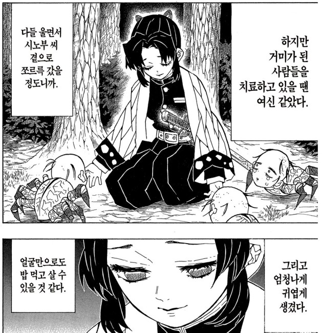 코쵸 이미지