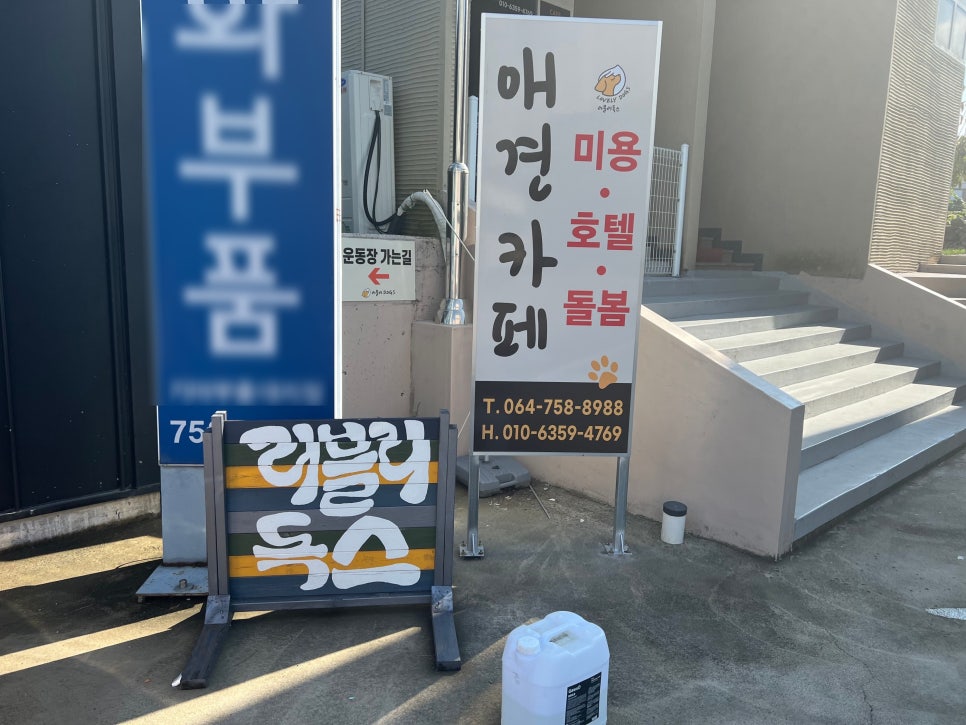 러블리독스 이미지