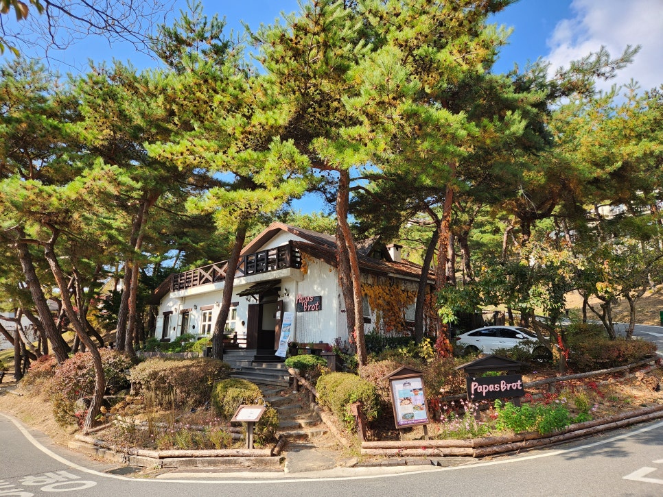 파파스브로트 이미지