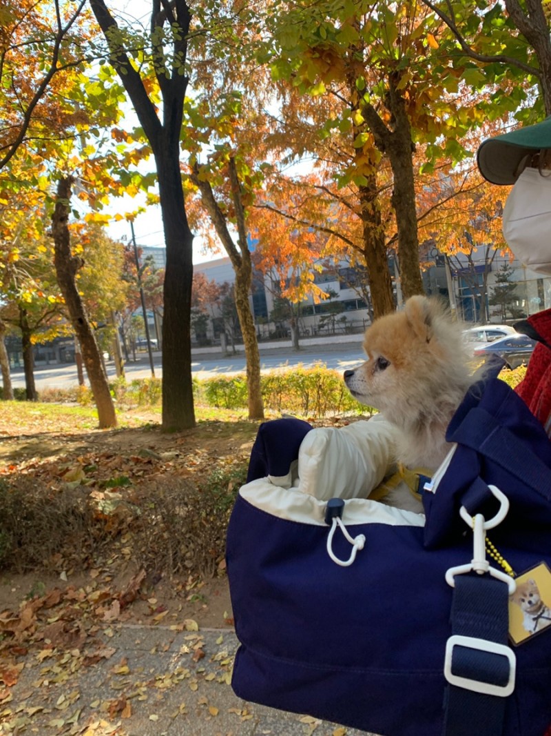(주)서로 이미지