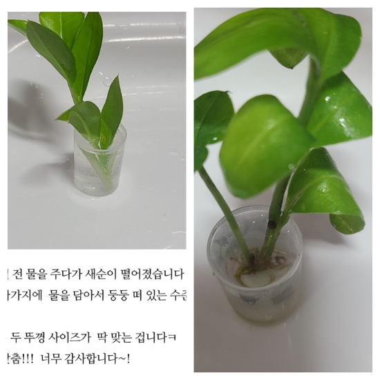 새순미용실 이미지