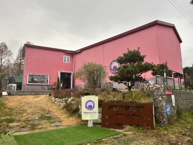 세런디피티78 이미지