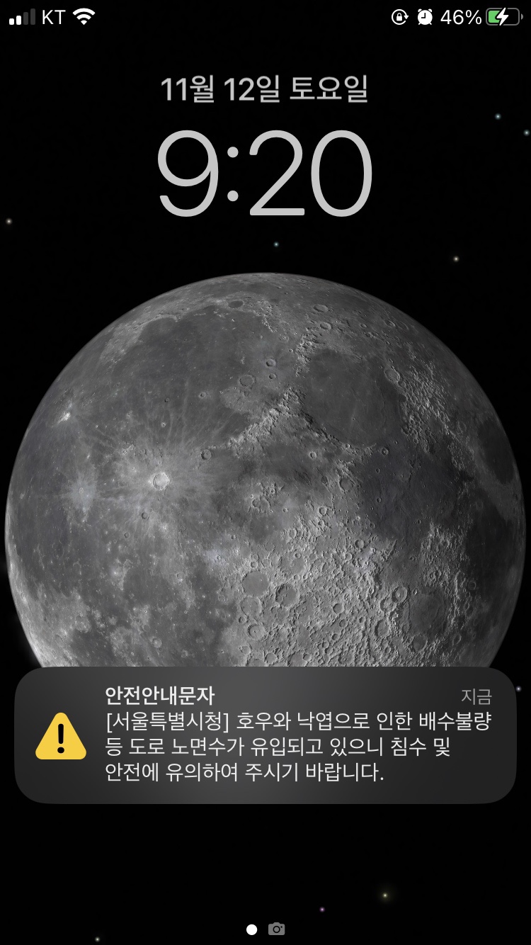제니아현대 이미지