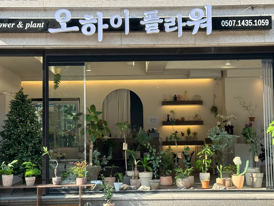 오하이플라워 이미지