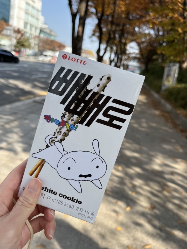 명가오리천국 이미지